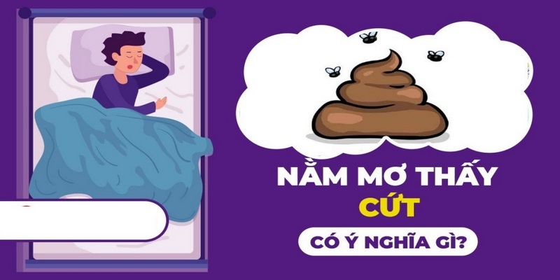 Ý nghĩa của việc nằm mơ thấy cứt chuẩn xác nhất