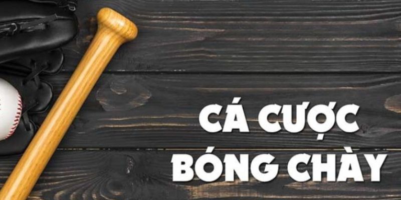 Bóng chày là một bộ môn thể thao được ưa chuộng