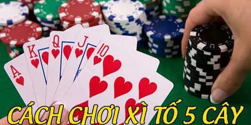 Game bài siêu hot - Xì Tố 5 cây