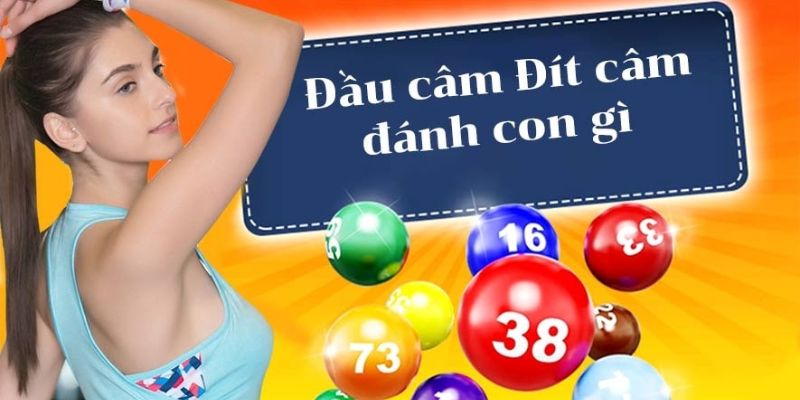 Tìm hiểu đầu đít câm gì?