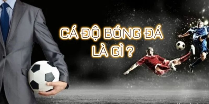 Thông tin về cá cược bóng đá online 