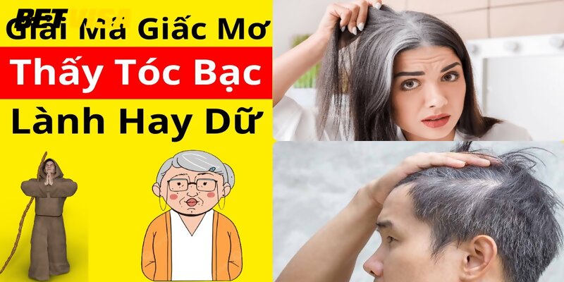 Tìm hiểu chi tiết ý nghĩa giấc mơ thấy tóc bạc trong cuộc sống