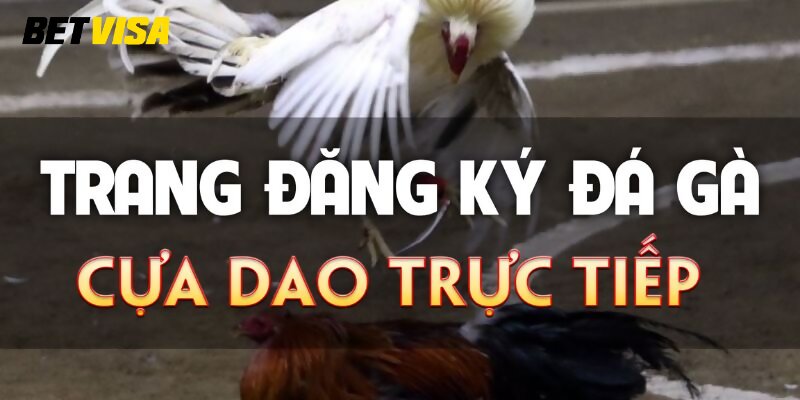 Hướng dẫn cách chọn trang đăng ký đá gà uy tín để đặt cược